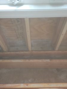 Read more about the article Comprehensive Black Mold Removal in Camden County: Restore Your Home’s Safety